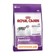 Сухой корм Royal Canin Giant adult для щенков (для гигантских пород с 8 месяцев до 2лет) (4 кг)