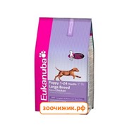 Сухой корм Eukanuba для щенков (крупных пород) 3 кг.