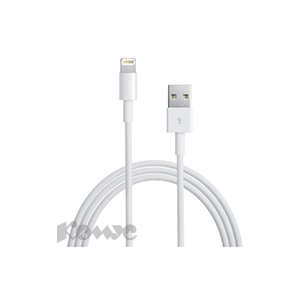 Кабель Apple Lightning to USB Cable MD818ZM/A