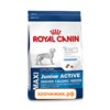 Сухой корм Royal Canin Maxi junior active для щенков (для крупных пород от 5 до 15/18 месяцев) (4 кг)