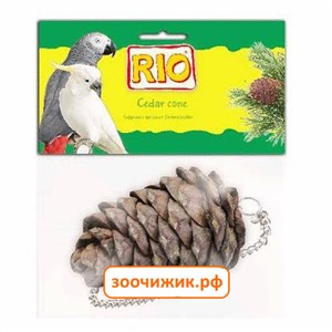 Лакомство Рио "Шишка кедровая" для всех видов птиц (60г)