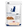 Влажный корм RC Neutered weight balance для кошек (диета для стерилизованных, склонных к избыточному весу) (100 гр)