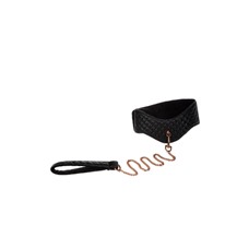 Ошейник Entice Posture Collar with Leash