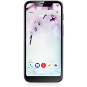 Сотовый телефон FLY View Max Graphite_A