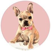 Держатель GRESSO Popsockets Животные №3 Французский бульдог