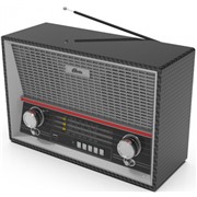 Радиоприемник Ritmix RPR-102 carbon