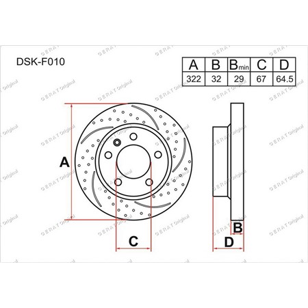 DSKF010