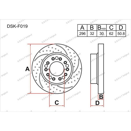 DSKF019