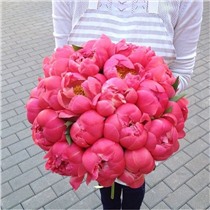 Букет из 29 пионов