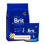 Сухой корм Brit Premium Сat Kitten для котят (300 гр) (3896)