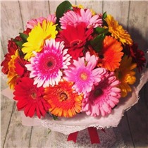 Букет из 23 гербер