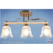  Reluce 37427-4.3-03 FGD WD светильник потолочный