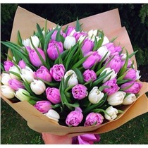 Букет микс 51 тюльпана
