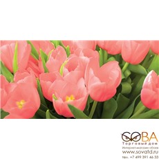 Декор Элара Коралл  Триумф - 405х201 мм/13 шт купить по лучшей цене в интернет магазине стильных обоев Сова ТД. Доставка по Москве, МО и всей России