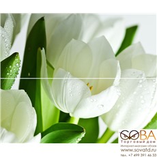 Панно Arco Verde Tulipan  (из 2-х пл.) 50x60 купить по лучшей цене в интернет магазине стильных обоев Сова ТД. Доставка по Москве, МО и всей России