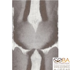 Обои Rasch 423006 African Queen купить по лучшей цене в интернет магазине стильных обоев Сова ТД. Доставка по Москве, МО и всей России