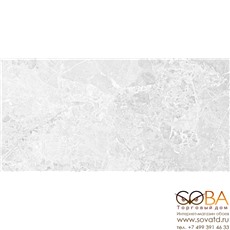 Керамогранит Brecia Adonis Grey  светло-серый 60x120 полированный купить по лучшей цене в интернет магазине стильных обоев Сова ТД. Доставка по Москве, МО и всей России