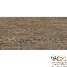 Керамогранит Alania brown  01 20х40 купить по лучшей цене в интернет магазине стильных обоев Сова ТД. Доставка по Москве, МО и всей России