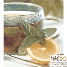 Панно Dec Tea Panno ( из 2-х шт) КПН16Tea 50х45 купить по лучшей цене в интернет магазине стильных обоев Сова ТД. Доставка по Москве, МО и всей России