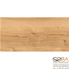 Керамогранит Woodhouse глаз.  коричневый (C-WS4O112D) 29,7х59,8 купить по лучшей цене в интернет магазине стильных обоев Сова ТД. Доставка по Москве, МО и всей России