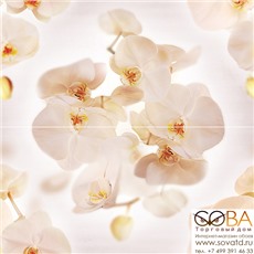 Панно Damasc  P2D294 40х40 (из 2 плиток) купить по лучшей цене в интернет магазине стильных обоев Сова ТД. Доставка по Москве, МО и всей России