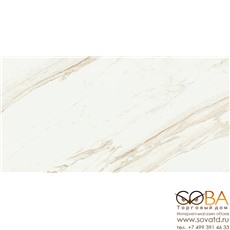 Керамогранит Coliseumgres Trevi White Nat Ret (45x90)см 610010002130 (Россия) купить по лучшей цене в интернет магазине стильных обоев Сова ТД. Доставка по Москве, МО и всей России