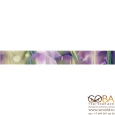 Бордюр Crocus  B400D286 40х5 купить по лучшей цене в интернет магазине стильных обоев Сова ТД. Доставка по Москве, МО и всей России