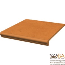 Ступень Aquarius Beige  простая с капиносом 30х33х1,1 купить по лучшей цене в интернет магазине стильных обоев Сова ТД. Доставка по Москве, МО и всей России