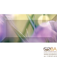 Бордюр Crocus  рельефный br1020D286-1 20х10 купить по лучшей цене в интернет магазине стильных обоев Сова ТД. Доставка по Москве, МО и всей России