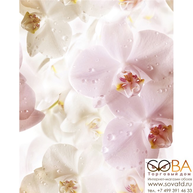 Панно Porto Flowers Flower  75x60 (3пл) купить по лучшей цене в интернет магазине стильных обоев Сова ТД. Доставка по Москве, МО и всей России