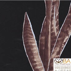 Обои Rasch Out of Africa  715903 купить по лучшей цене в интернет магазине стильных обоев Сова ТД. Доставка по Москве, МО и всей России