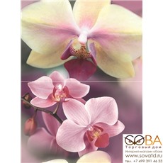 Панно Blossom  P2D183 40х30 (из 2-х пл.) купить по лучшей цене в интернет магазине стильных обоев Сова ТД. Доставка по Москве, МО и всей России