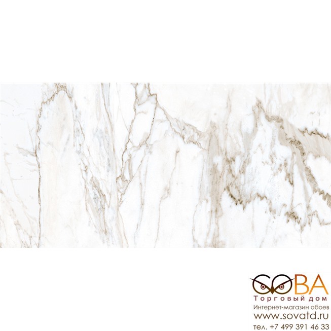 Керамогранит Marble Trend  K-1001/LR/30x60 Calacatta купить по лучшей цене в интернет магазине стильных обоев Сова ТД. Доставка по Москве, МО и всей России