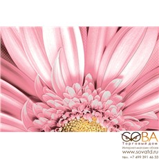 Декор Aster  (AE2N451DT) 30x45 купить по лучшей цене в интернет магазине стильных обоев Сова ТД. Доставка по Москве, МО и всей России